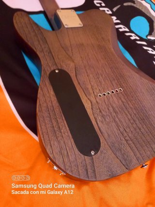 Guitarra Eléctrica Michael Kelly Op 54