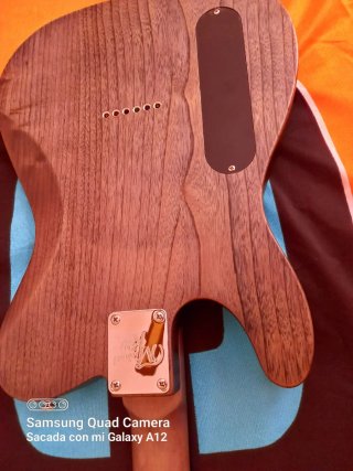 Guitarra Eléctrica Michael Kelly Op 54