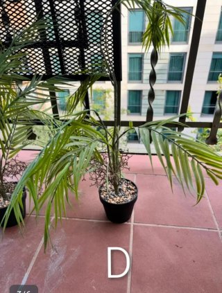 Planta Artificial Decorativa Bambú