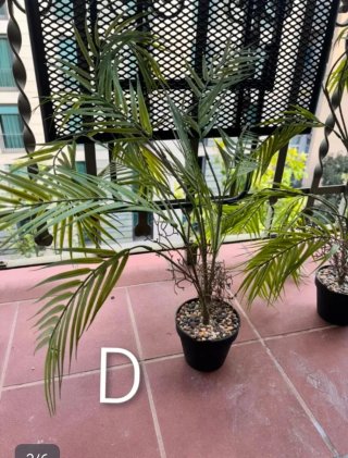 Planta Artificial Decorativa Bambú