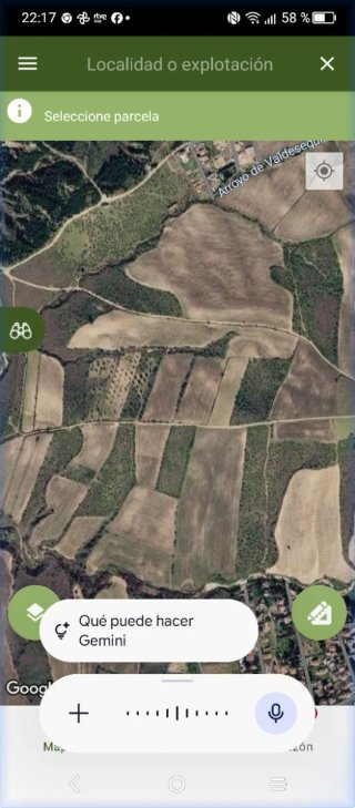 Terreno Rustico