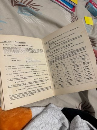 DIALOGOS EN ESPAÑOL OBSERVACIONES GRAMATICALES