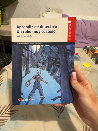Aprendiz de Detective Un Robo Muy Costoso