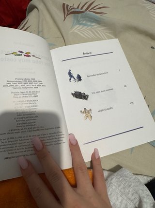 Aprendiz de Detective Un Robo Muy Costoso