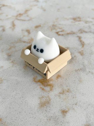 Gatito Adóptame Fidget Toy
