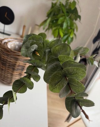 Planta Eucalipto Artificial