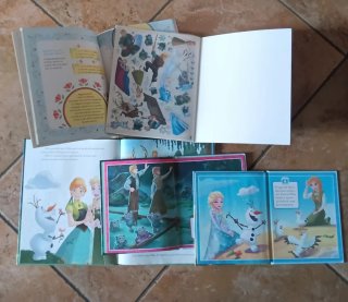 Set libricini Frozen