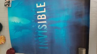 Póster Serie Invisible Disney Plus