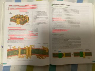 Biología, 2 bachillerato, Revuela Guía del prof...