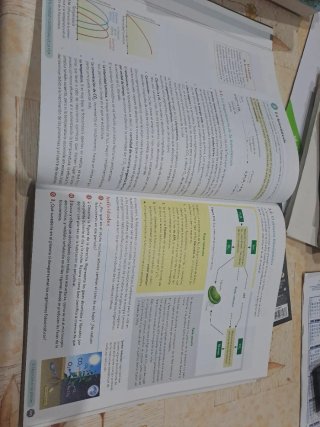 Biología, Geología y CC. Ambientales 1º Bachill...