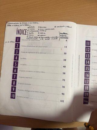 Lote libros estética Don Bosco (Jaen)