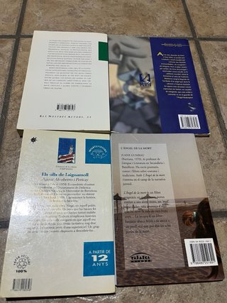 Llibres en català
