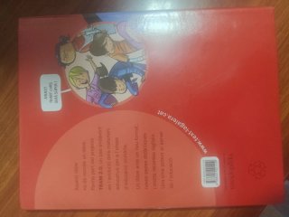 Llengua catalana, 4 Educació Primària