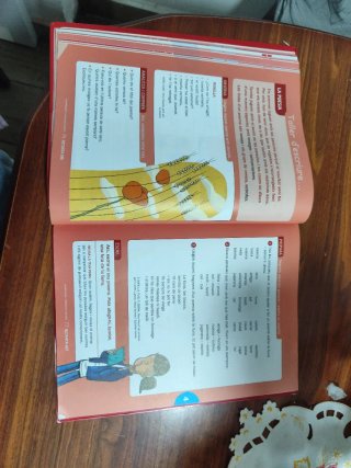 Llengua catalana, 4 Educació Primària