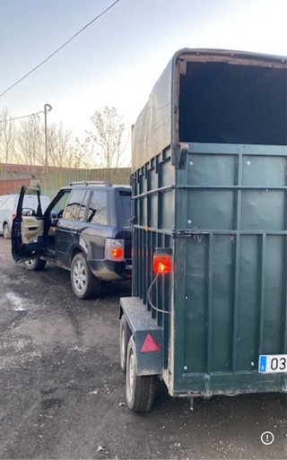 Transporte de caballos y ganado