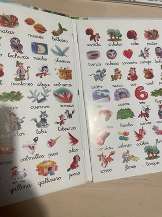 Las hadas,el bosque, dragones cuentos pictogramas