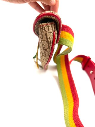 Bolso Dior Belt Bag Rasta Edition