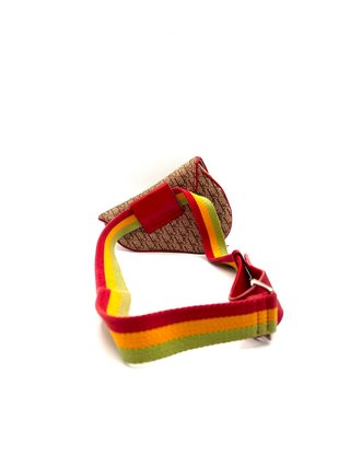 Bolso Dior Belt Bag Rasta Edition