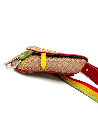 Bolso Dior Belt Bag Rasta Edition