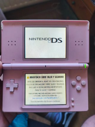 Lote 2 Nintendo DS Lite (Rosa y Plata)