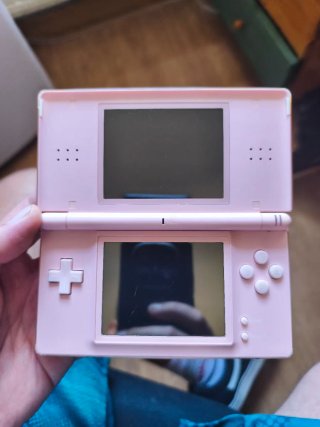 Lote 2 Nintendo DS Lite (Rosa y Plata)