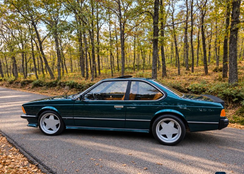 BMW Serie 6 1991, foto 2
