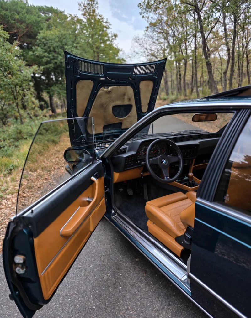 BMW Serie 6 1991, foto 3