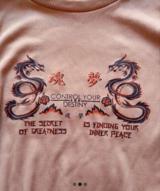 Camiseta beige con dragones y texto