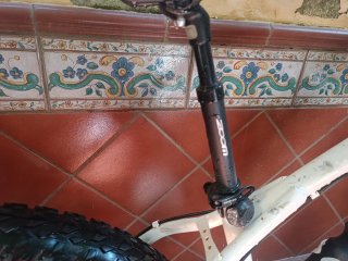 Bicicleta Fat Bike