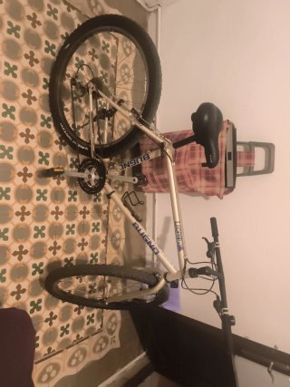 Bicicleta Bugno