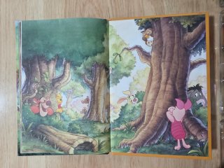 Clásico cuento Disney."Winnie un sueño reparador".
