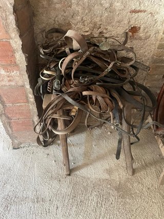 Sillas de montar, cinchas y más