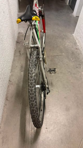 Bicicleta MTB Globe Trotter