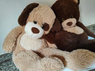 2 Peluches Perro y Oso Marrón