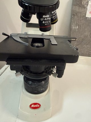 Microscopio Motic 100X/1.25 oil+ material vet