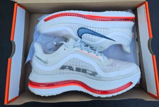 Zapatillas Nike Pegasus Premium