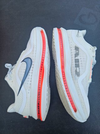 Zapatillas Nike Pegasus Premium
