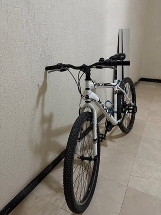 Bicicleta de Montaña INDUR Blanca