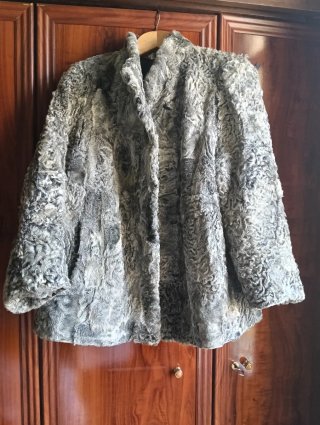 Chaquetón de piel de ramusquet y astracán