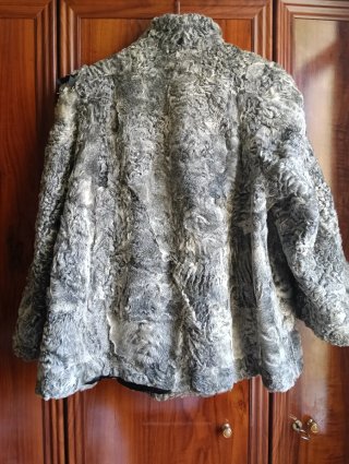 Chaquetón de piel de ramusquet y astracán