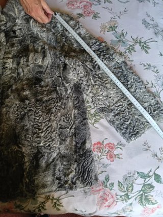 Chaquetón de piel de ramusquet y astracán
