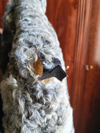 Chaquetón de piel de ramusquet y astracán