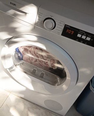 Secadora Svan Bomba de Calor 8kg