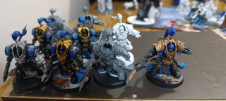 Ejército Custodes Warhammer 40k