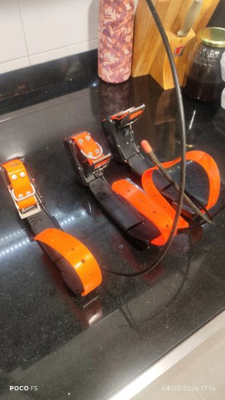 2 Collares Garmin DC 50