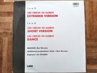 Miguel Bosé Vinilo Maxi Los Chicos No Lloran