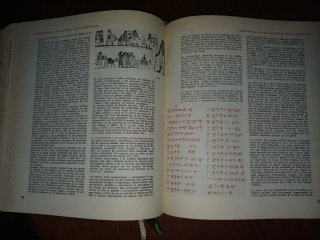 Enciclopedia del Mundo Bíblico II (I-Z).