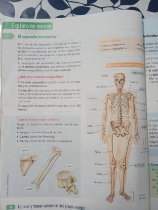 CIENCIAS DE LA NATURALEZA 6 (COMUNIDAD ZOOM)