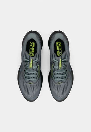 Nike Pegasus Premium