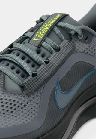 Nike Pegasus Premium